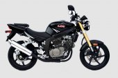 2008 UM V2S-250 photo